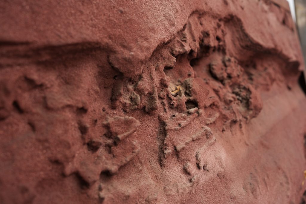 קרדיט תמונה אורי שדה